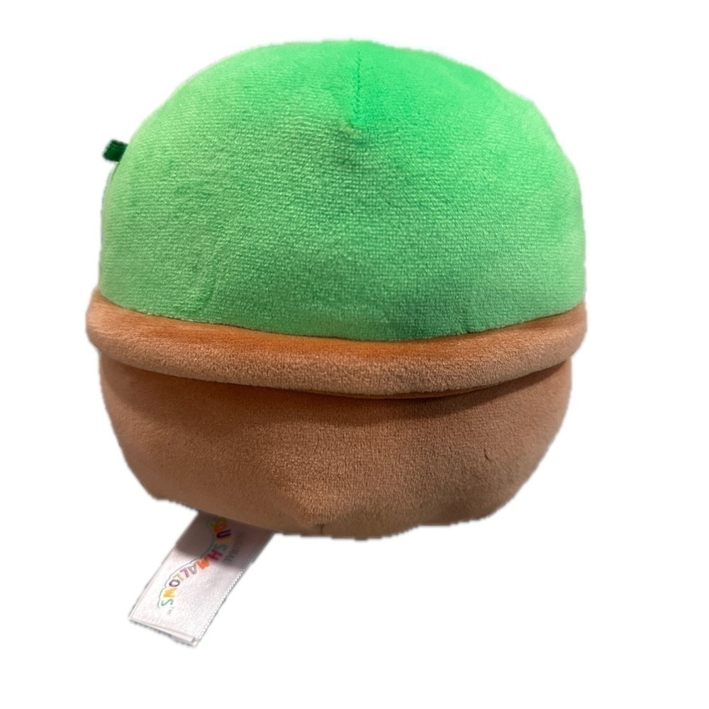 5” Shadi & Marcellus the Cactus Valentine Squishmallow Set NWOT - Picture 4 of 12